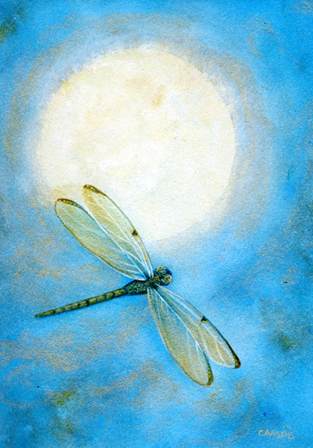 dragonfly moon