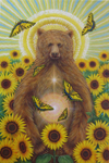 sun bear