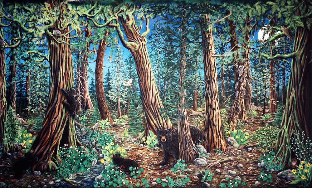 Spirit of the Forest 