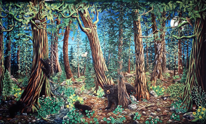 Spirit of the Forest 2004